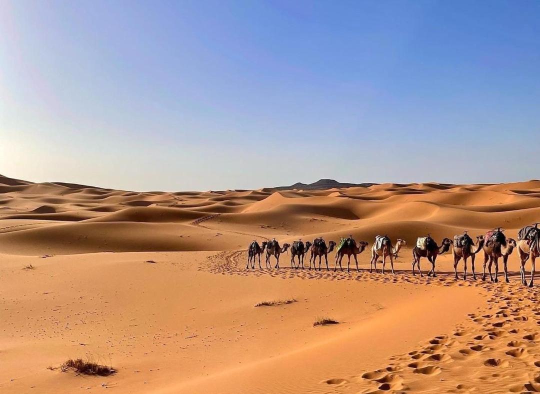 Chegaga Desert Trips Camp M'Hamid Luaran gambar